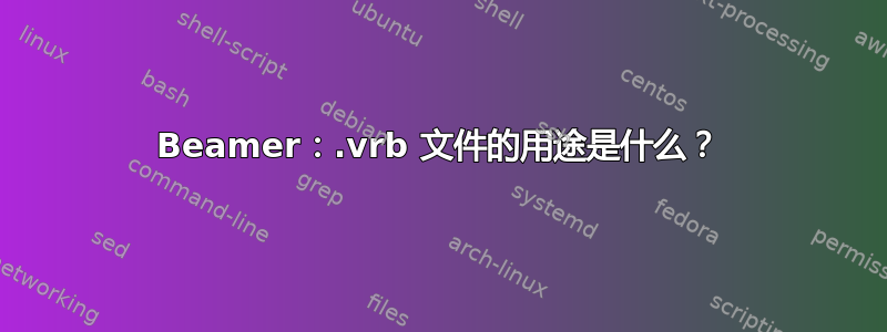 Beamer：.vrb 文件的用途是什么？