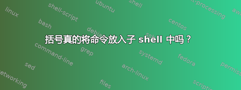 括号真的将命令放入子 shell 中吗？