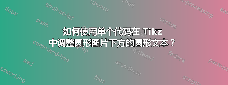 如何使用单个代码在 Tikz 中调整圆形图片下方的圆形文本？