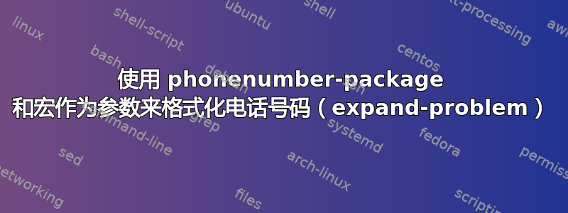 使用 phonenumber-package 和宏作为参数来格式化电话号码（expand-problem）