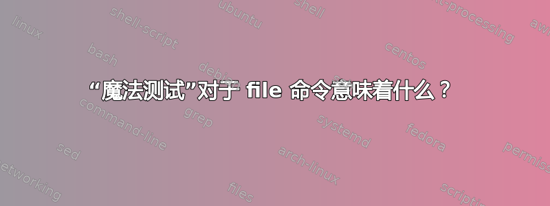 “魔法测试”对于 file 命令意味着什么？