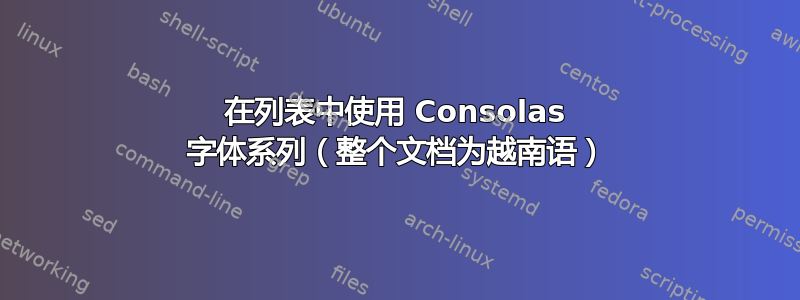 在列表中使用 Consolas 字体系列（整个文档为越南语）