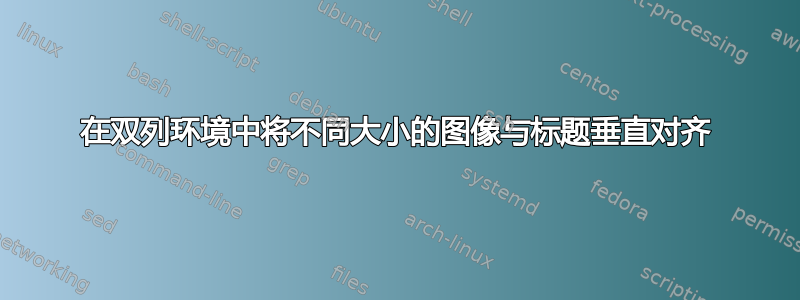 在双列环境中将不同大小的图像与标题垂直对齐