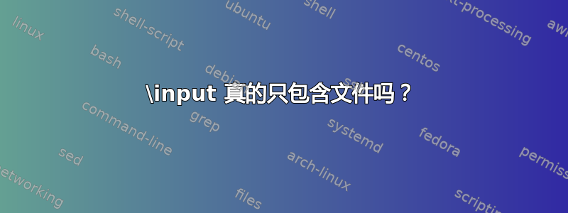 \input 真的只包含文件吗？