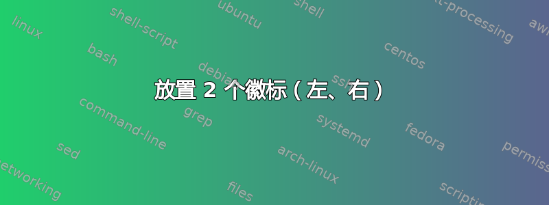 放置 2 个徽标（左、右）