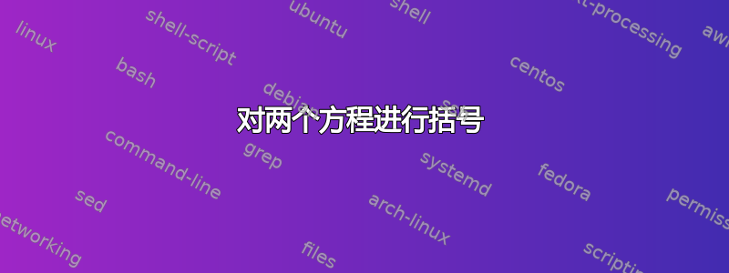 对两个方程进行括号