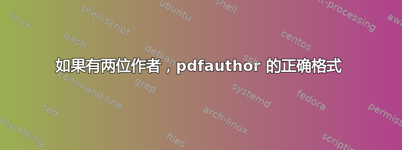 如果有两位作者，pdfauthor 的正确格式