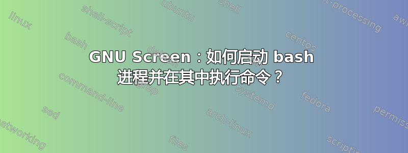 GNU Screen：如何启动 bash 进程并在其中执行命令？