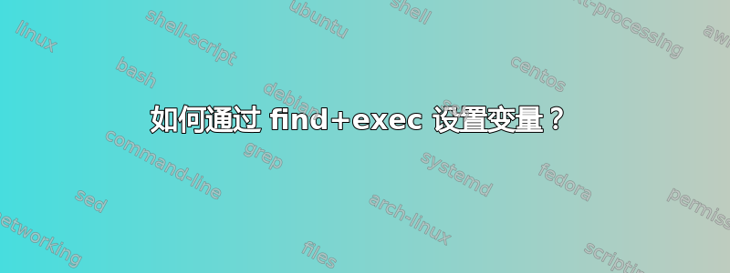 如何通过 find+exec 设置变量？