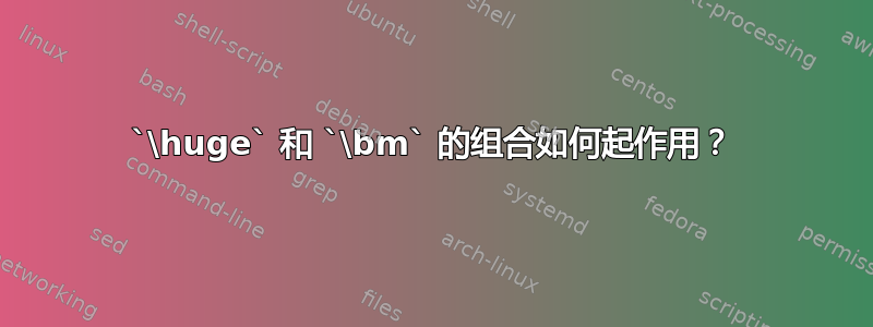 `\huge` 和 `\bm` 的组合如何起作用？