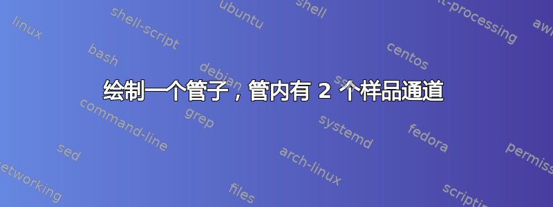 绘制一个管子，管内有 2 个样品通道