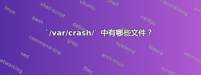 `/var/crash/` 中有哪些文件？