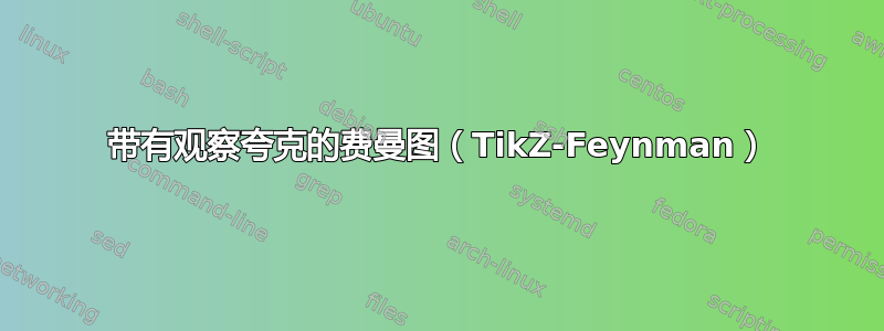 带有观察夸克的费曼图（TikZ-Feynman）