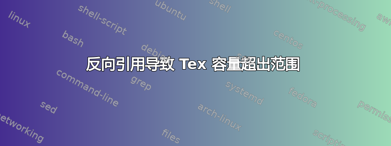 反向引用导致 Tex 容量超出范围