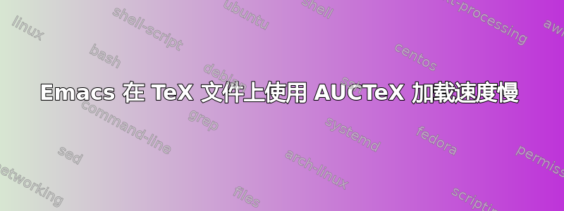 Emacs 在 TeX 文件上使用 AUCTeX 加载速度慢