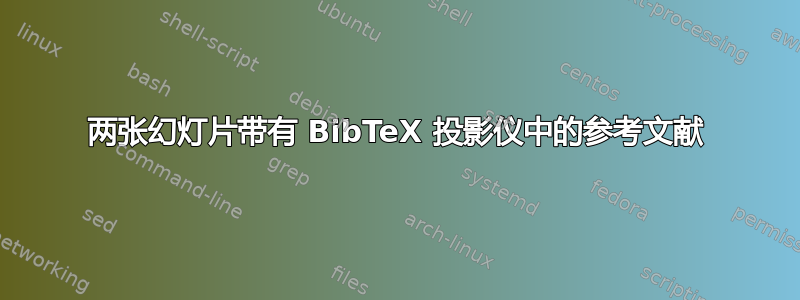 两张幻灯片带有 BibTeX 投影仪中的参考文献