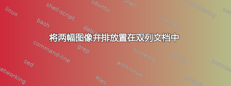 将两幅图像并排放置在双列文档中