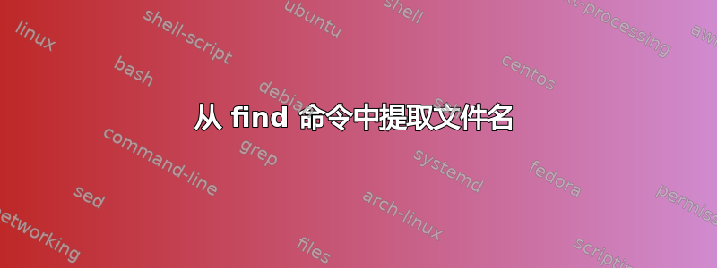 从 find 命令中提取文件名