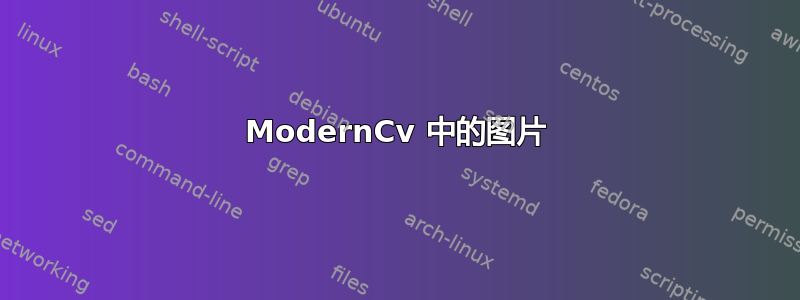 ModernCv 中的图片