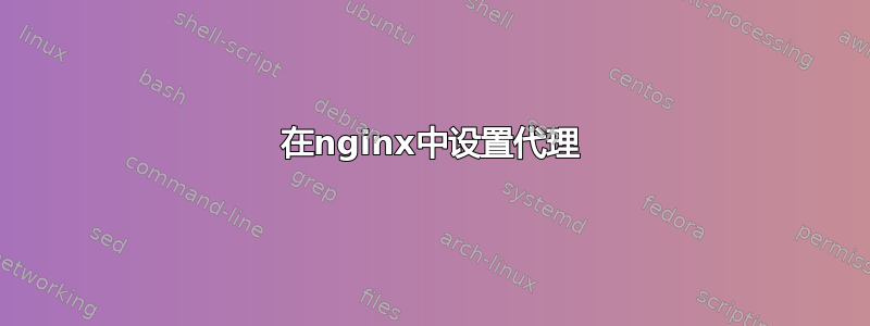 在nginx中设置代理