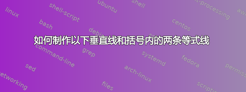 如何制作以下垂直线和括号内的两条等式线