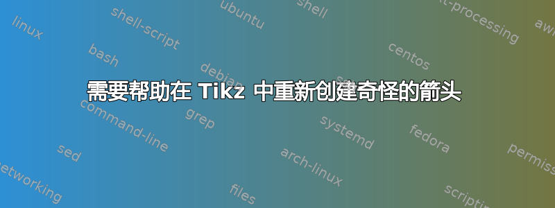 需要帮助在 Tikz 中重新创建奇怪的箭头