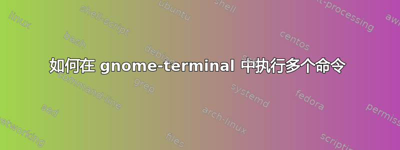 如何在 gnome-terminal 中执行多个命令