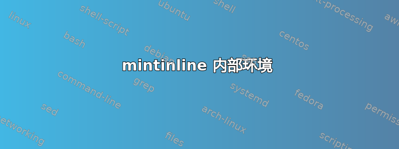 mintinline 内部环境