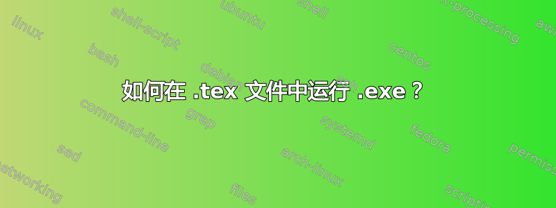 如何在 .tex 文件中运行 .exe？