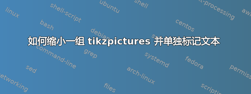 如何缩小一组 tikzpictures 并单独标记文本