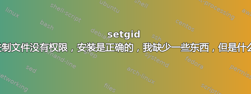 setgid 二进制文件没有权限，安装是正确的，我缺少一些东西，但是什么？