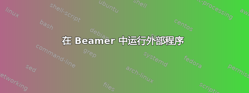 在 Beamer 中运行外部程序