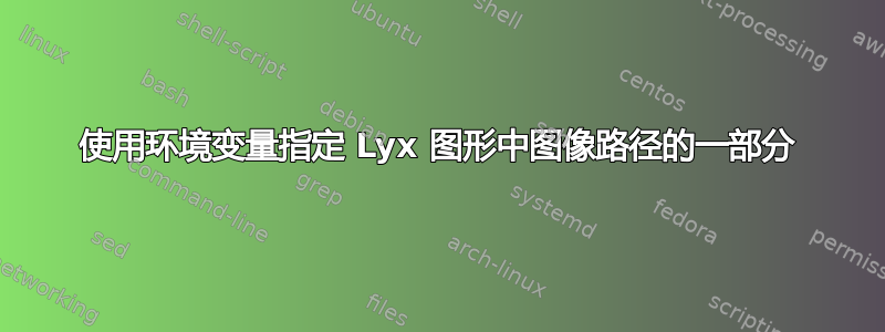 使用环境变量指定 Lyx 图形中图像路径的一部分