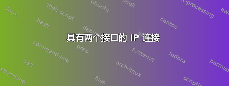 具有两个接口的 IP 连接