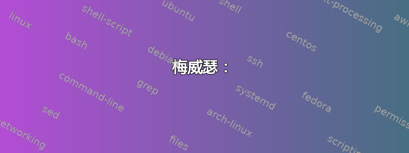 梅威瑟：