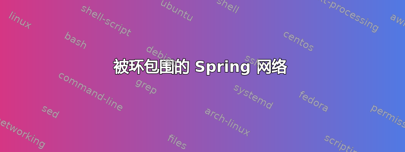 被环包围的 Spring 网络