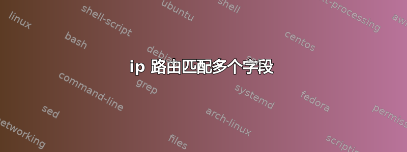 ip 路由匹配多个字段