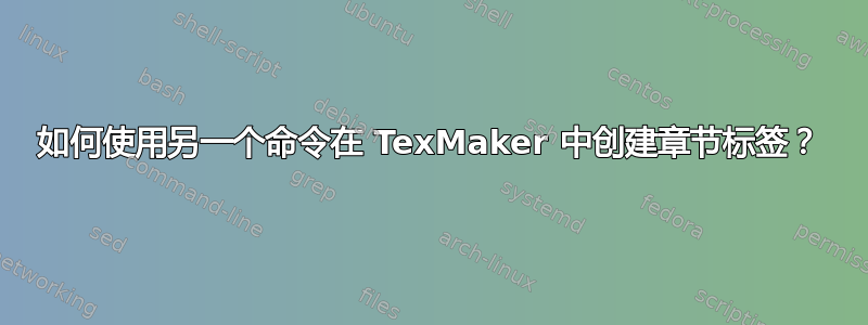 如何使用另一个命令在 TexMaker 中创建章节标签？