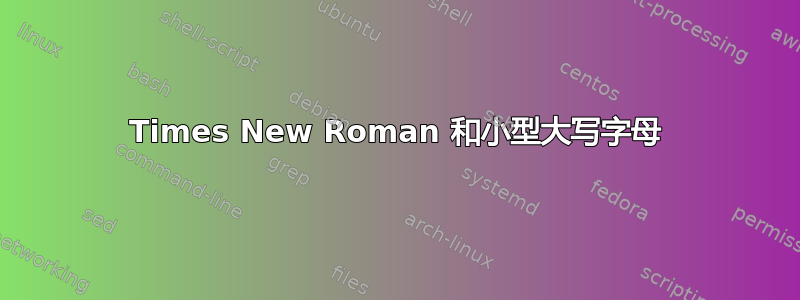 Times New Roman 和小型大写字母