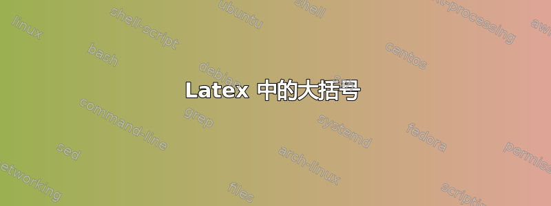 Latex 中的大括号