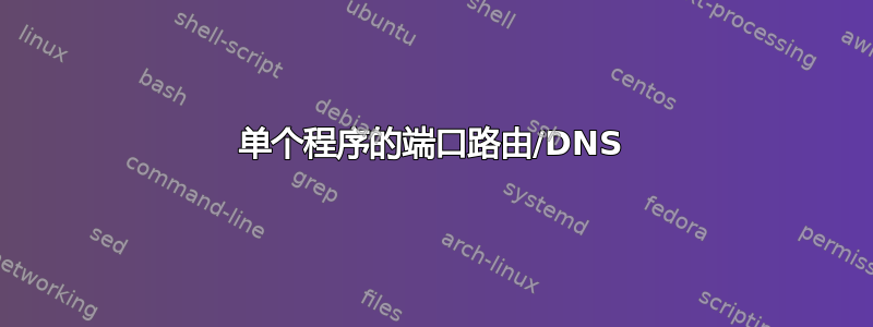 单个程序的端口路由/DNS