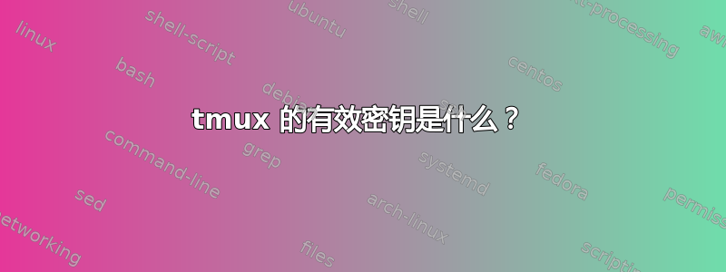 tmux 的有效密钥是什么？