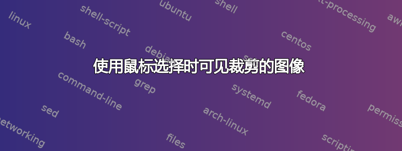 使用鼠标选择时可见裁剪的图像