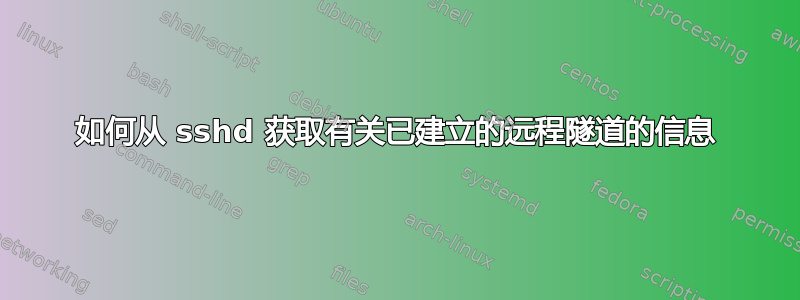 如何从 sshd 获取有关已建立的远程隧道的信息