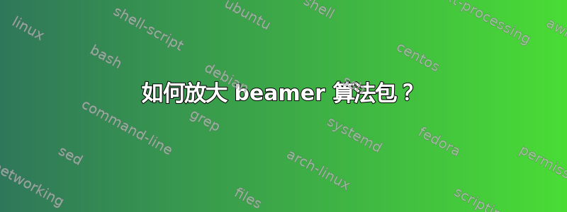 如何放大 beamer 算法包？