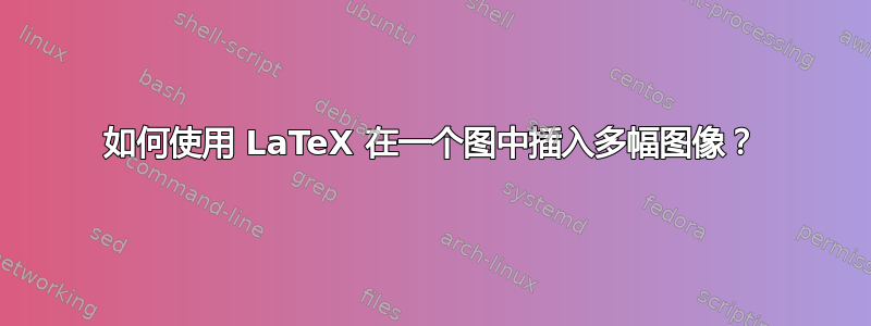 如何使用 LaTeX 在一个图中插入多幅图像？