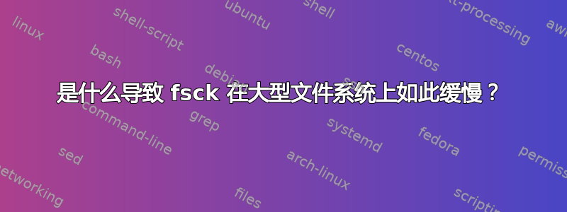 是什么导致 fsck 在大型文件系统上如此缓慢？