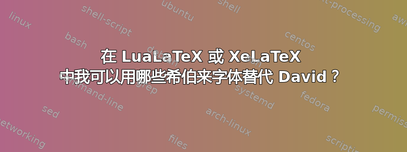 在 LuaLaTeX 或 XeLaTeX 中我可以用哪些希伯来字体替代 David？