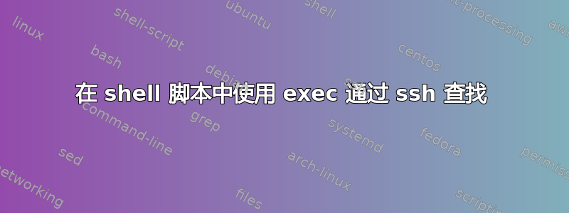 在 shell 脚本中使用 exec 通过 ssh 查找