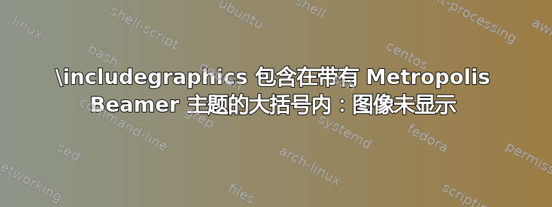 \includegraphics 包含在带有 Metropolis Beamer 主题的大括号内：图像未显示